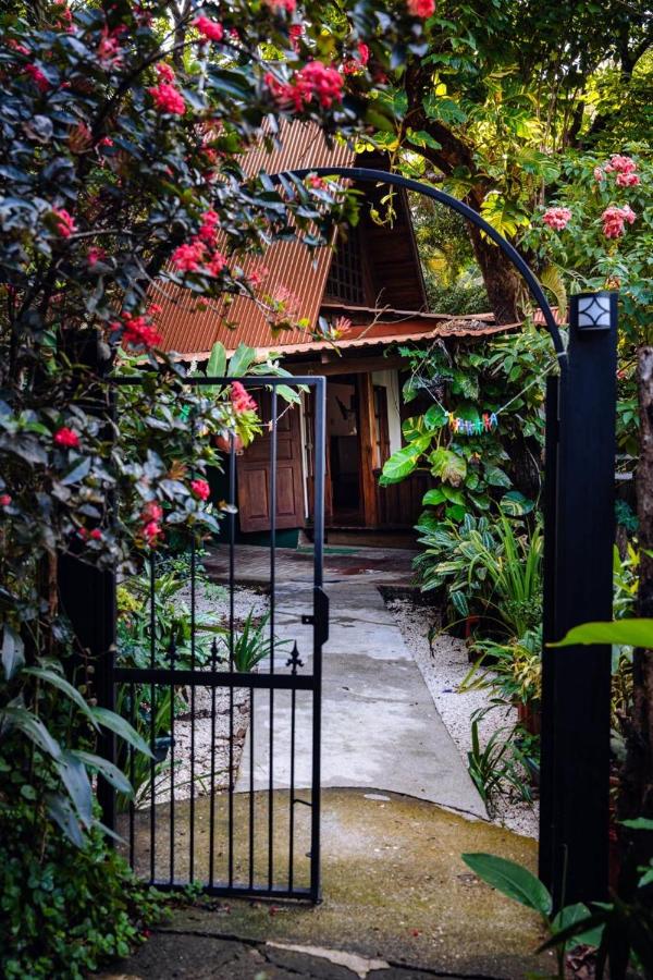 FLOR DE PARAISO BUNGALOWS - Ferienwohnung Montezuma