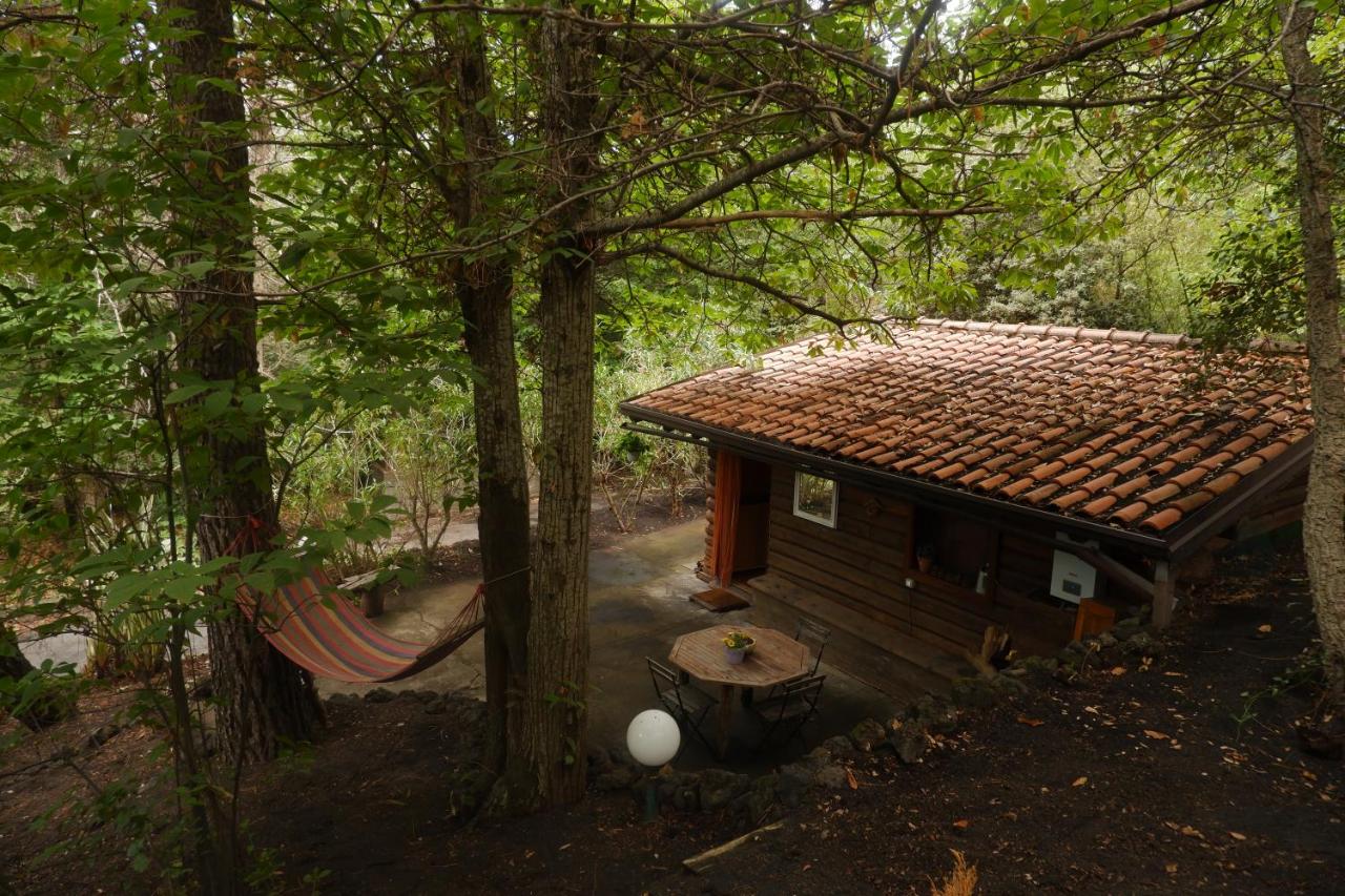 Etna Rural Cottage with Jacuzzi - B&B