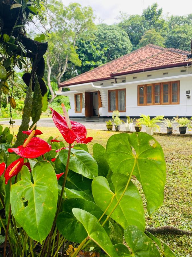 Happy Valley Residence Unawatuna - Bed and Breakfast