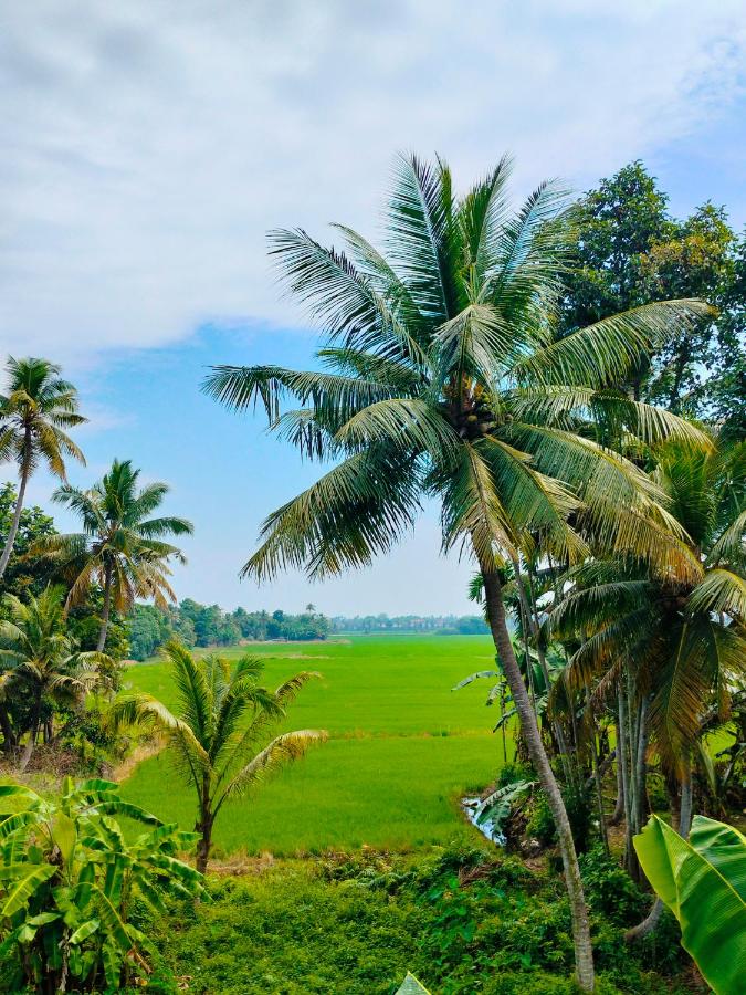 Paddy N Canal Homestay - Bed and Breakfast Alappuzha