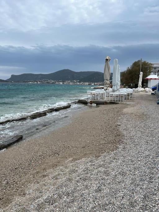 Whole flat 95 sq m by the sea close to airport with garden - B&B
