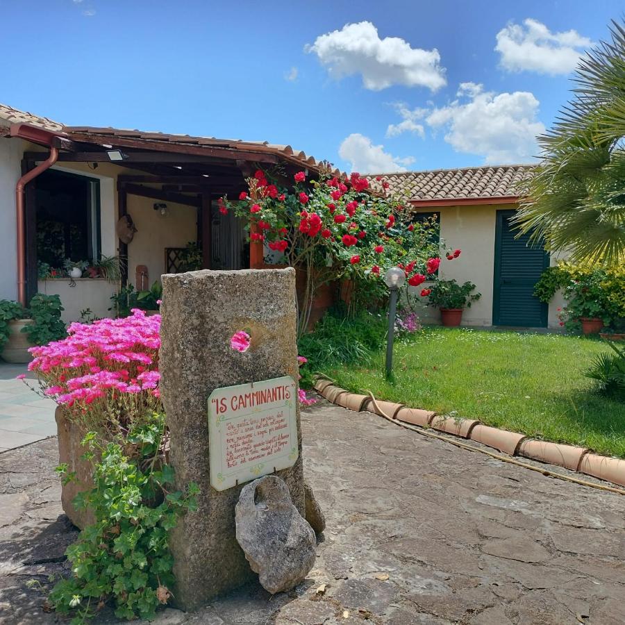 B&B Is Camminantis - Ferienwohnung