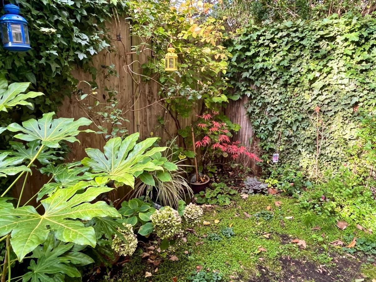 Cozy 1-BR Garden Flat For Up to 4 in East London - B&B
