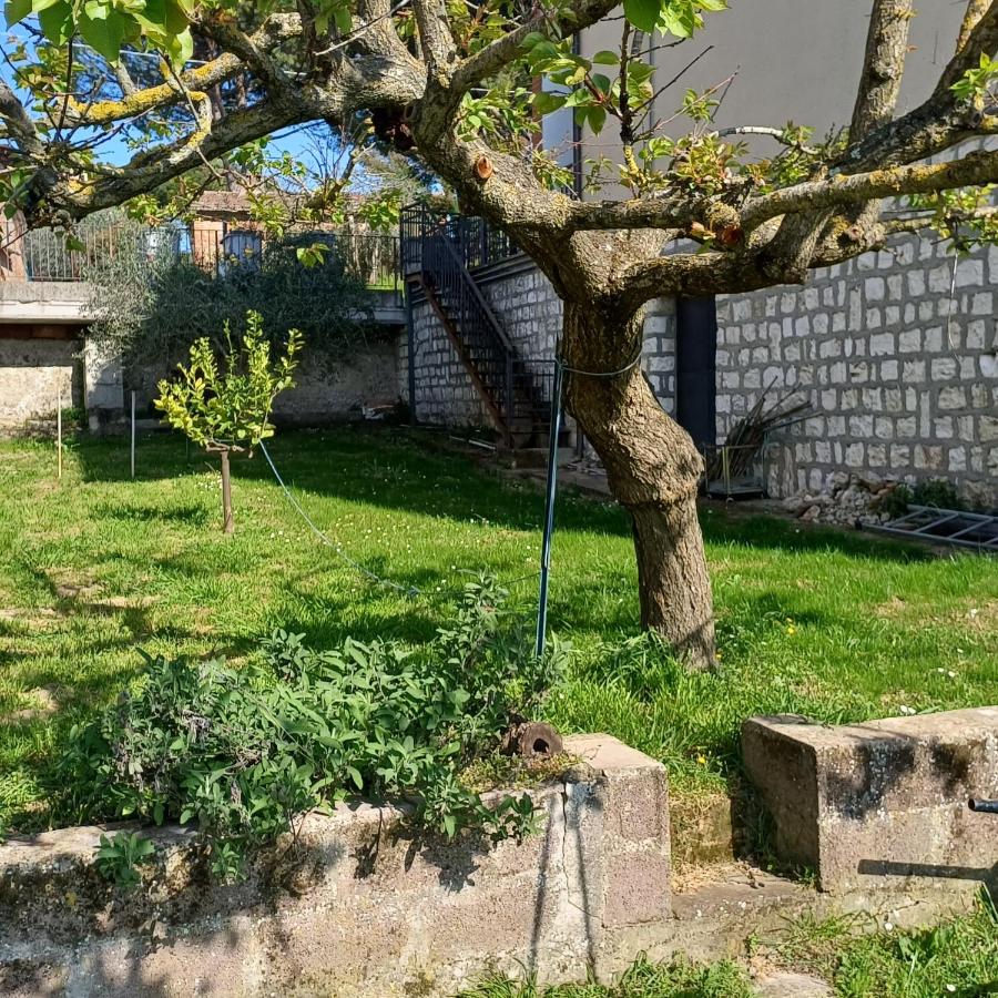 Casa Belvedere - Bed and Breakfast