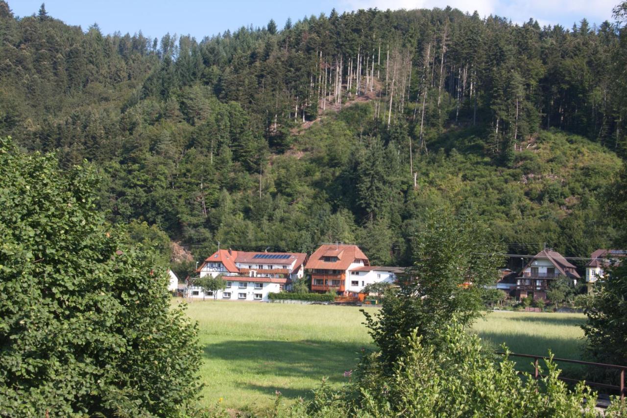 B&B Winden im Elztal - Ferienwohnung am Rain - Bed and Breakfast Winden im Elztal