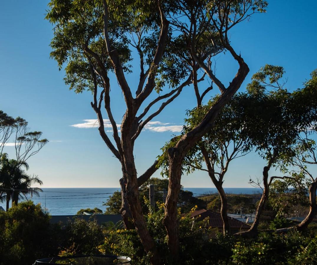 Ocean Views Walk to Malua Beach EV & Pet Friendly - B&B