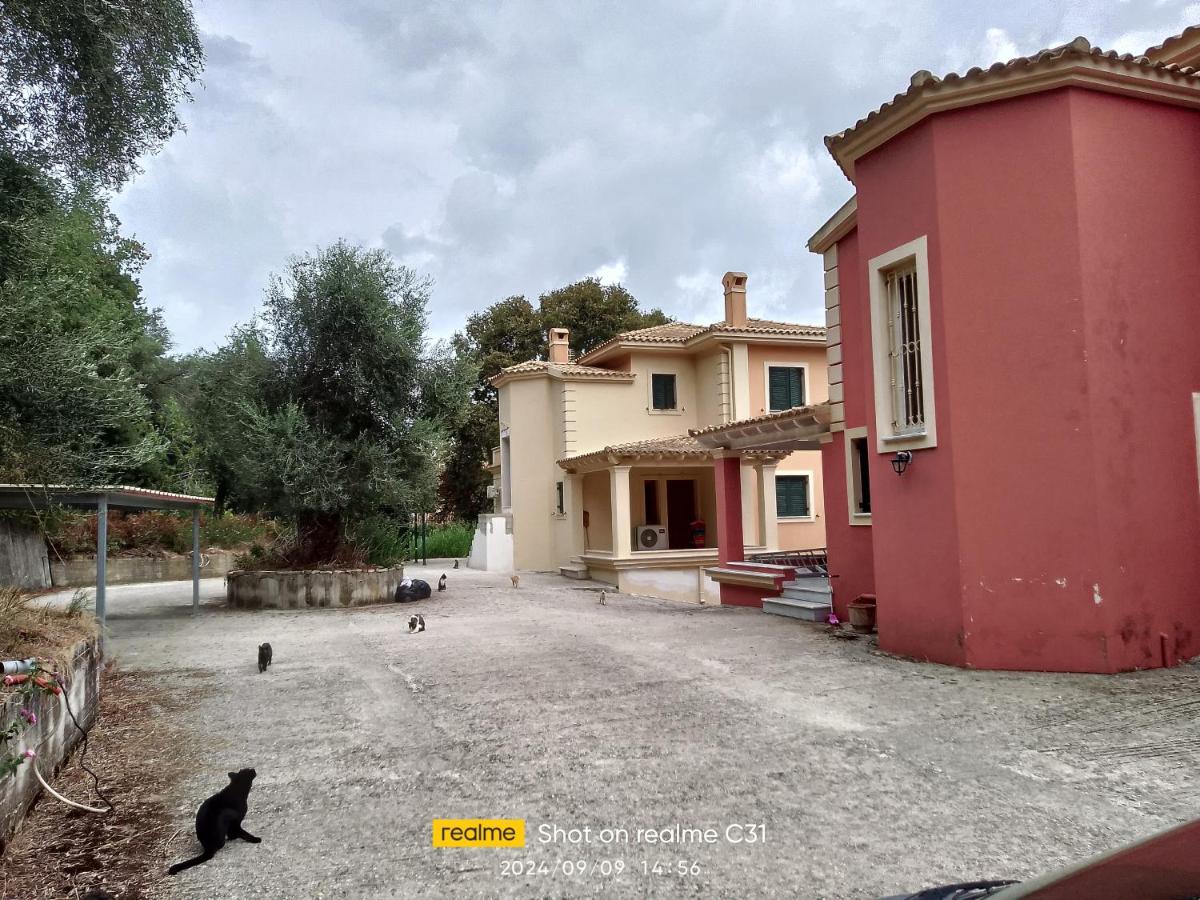 Aris Corfu Apartments - B&B