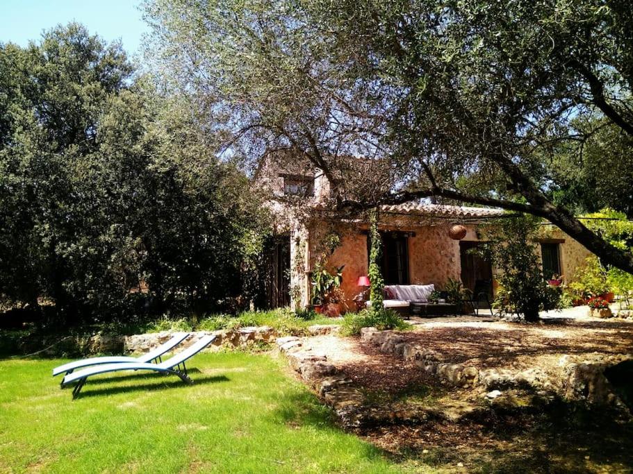 Finca SAlzinar - Ferienwohnung Inca