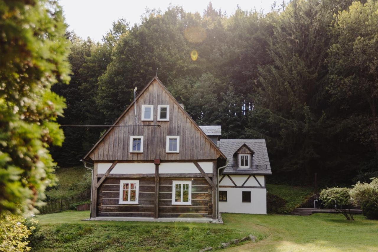 Forest View Cottage - Bed and Breakfast