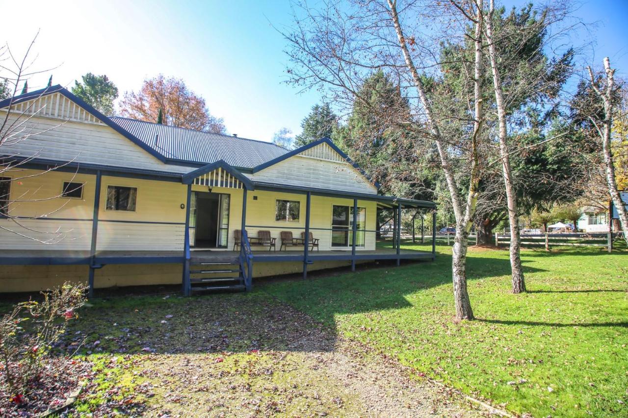 Camellia Lodge - B&B