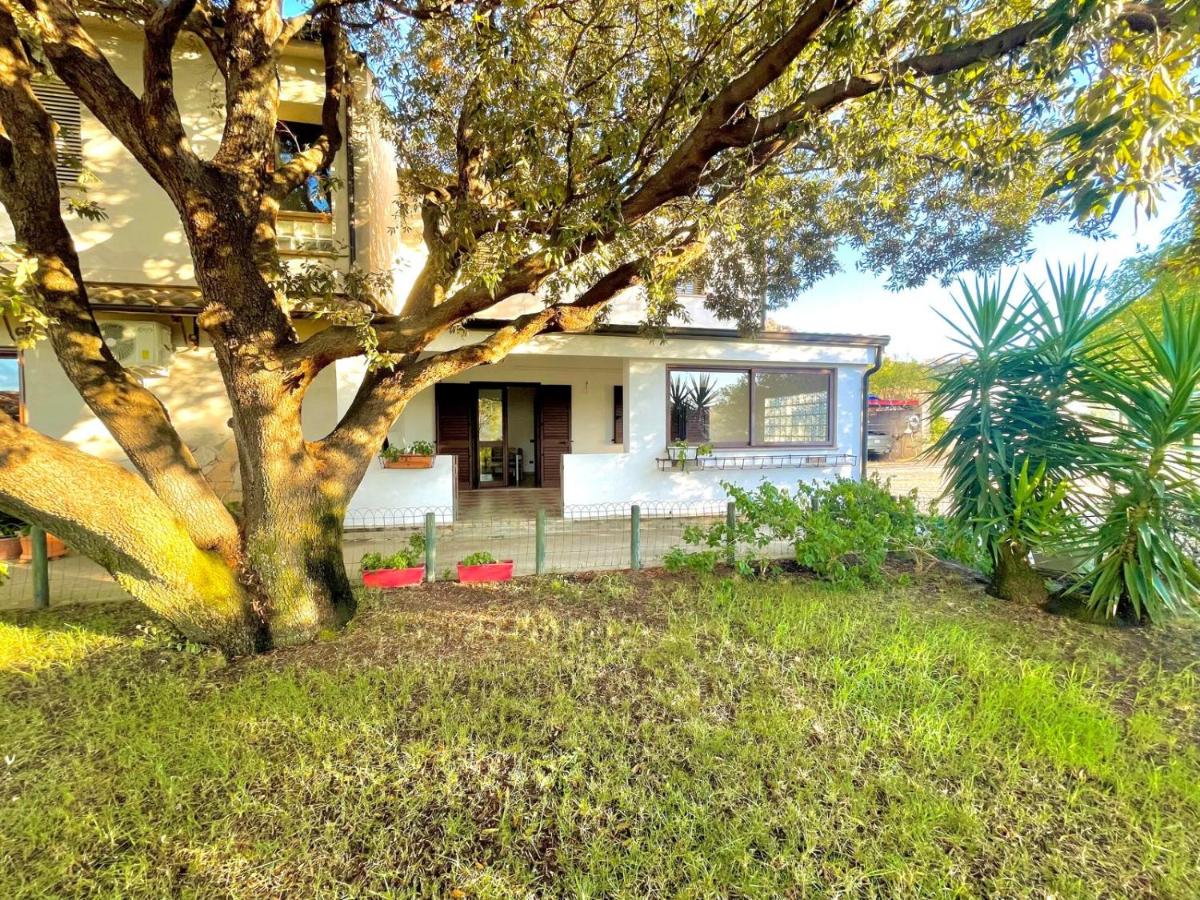 Panorama Apartment - B&B