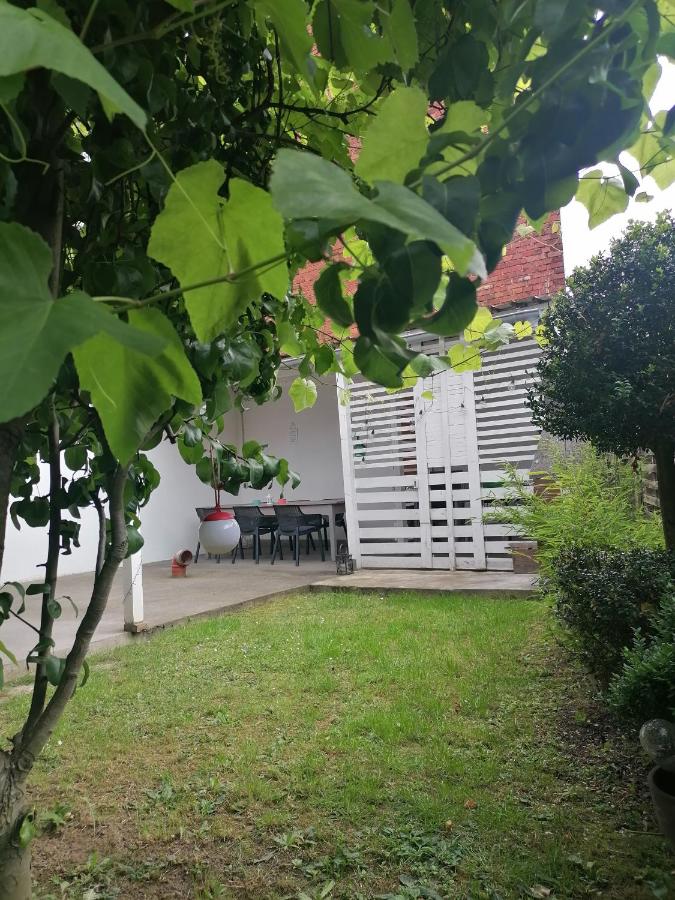 Haus Morgentau mit Garten in zentraler Lage - B&B Kassel