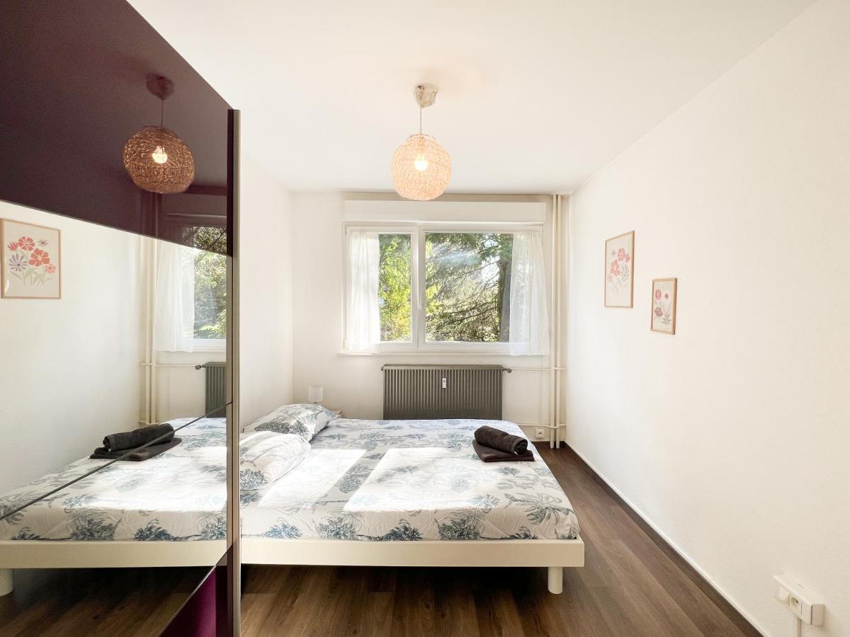 Appartement 1 Chambre