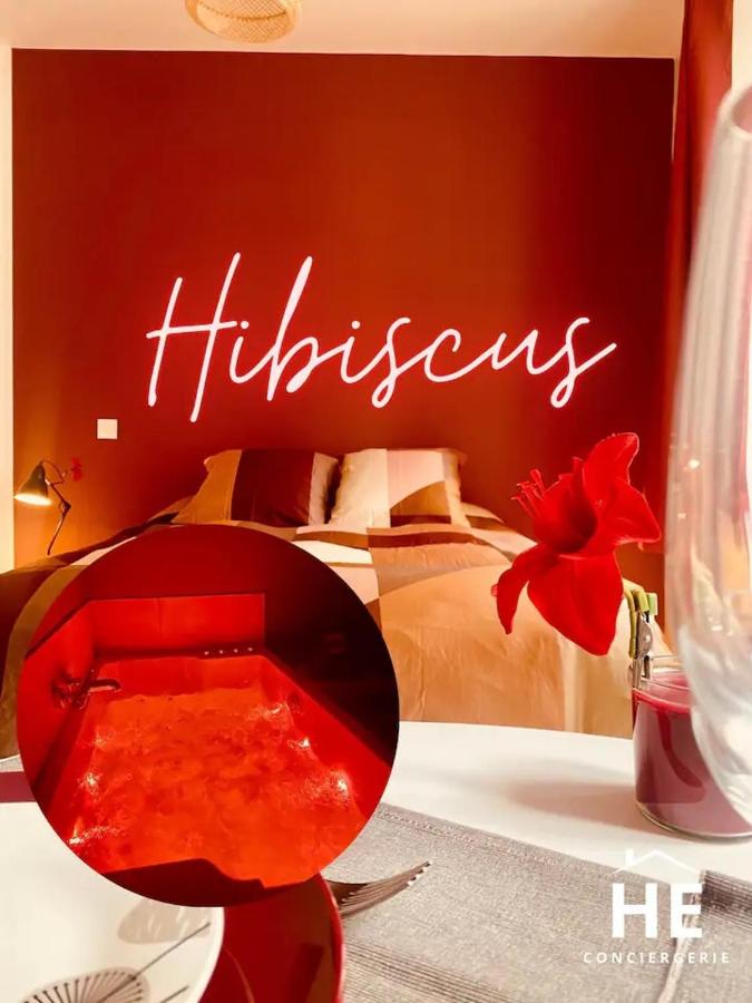Hibiscus - Balnéo - Netflix & Chill - B&B