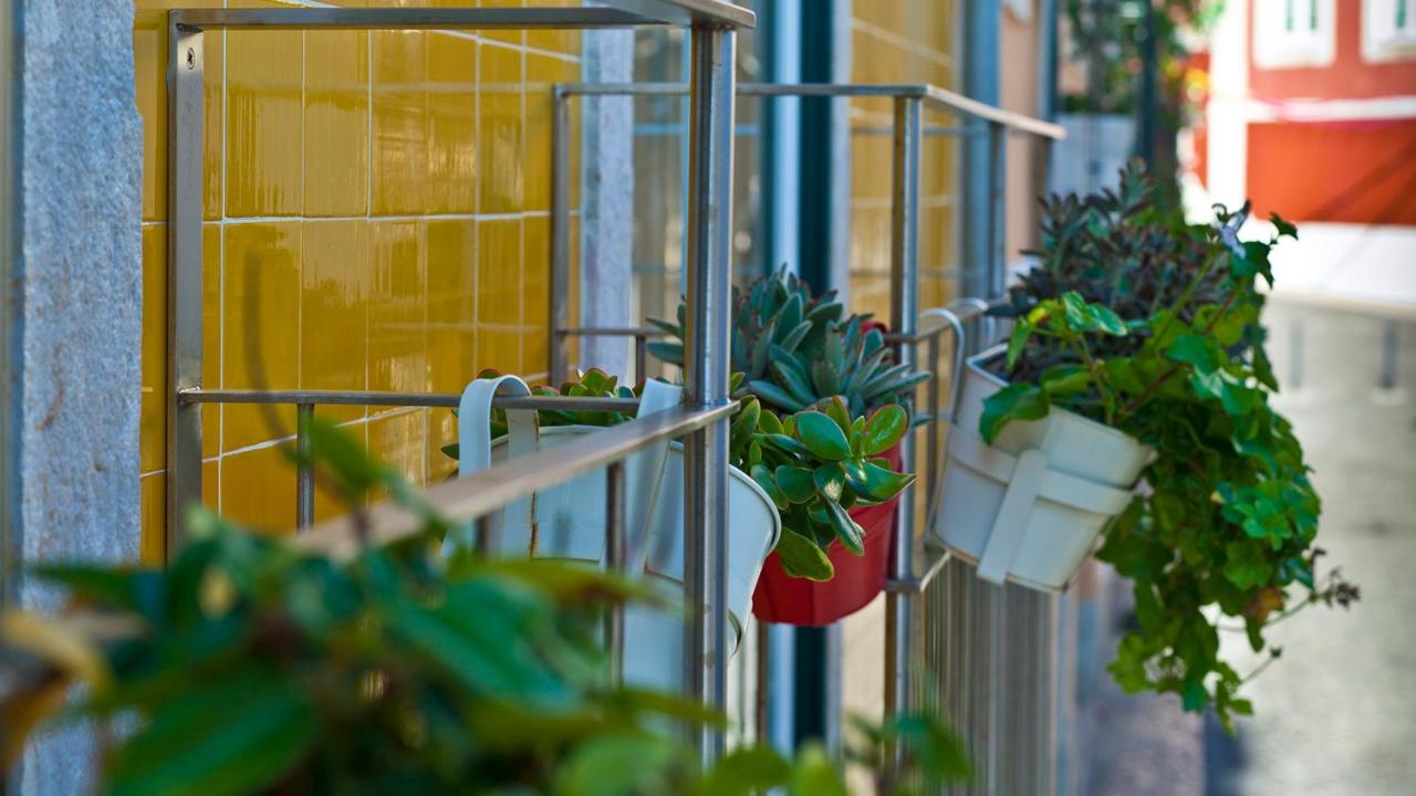 Apartamento con balcón