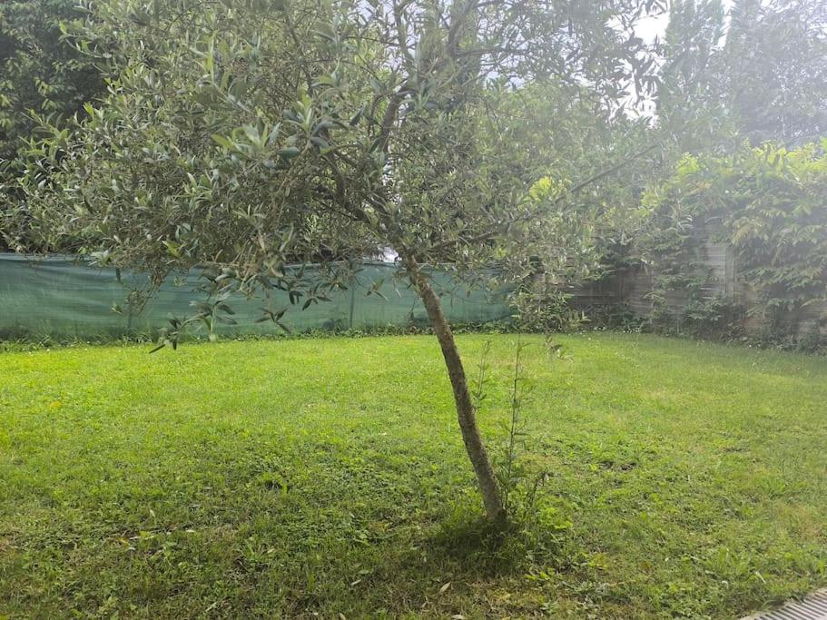 L'ESCAPADE T3 avec terrasse privative - B&B Lussac-les-Châteaux