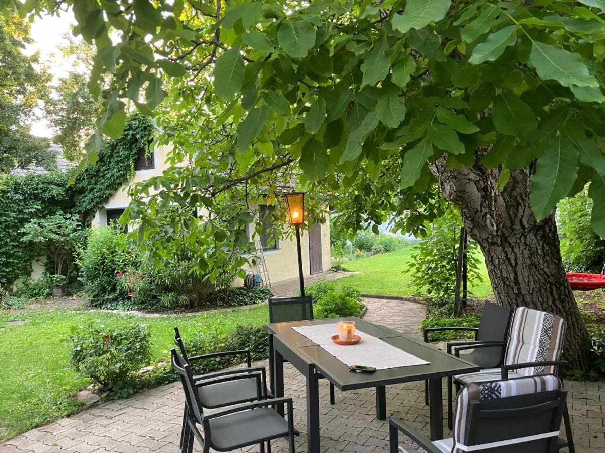 Grüne Oase Illmitz - B&B