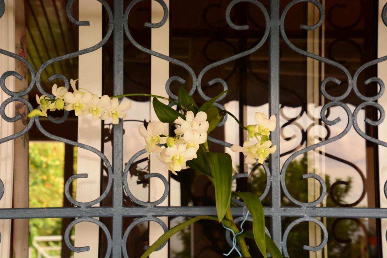 Villa Campêche - B&B