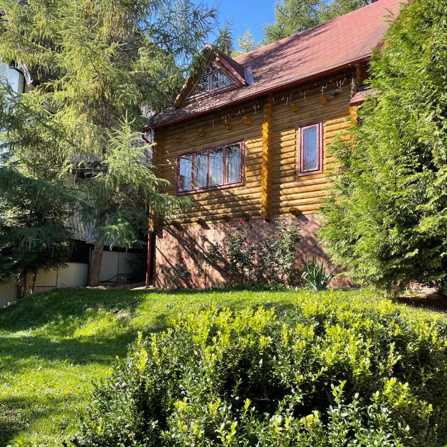 Еко котедж Яблуницька троянда - B&B Yablunytsya