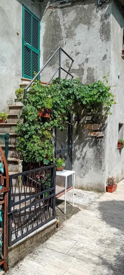 Nicolas House - B&B Campiglia d'Orcia
