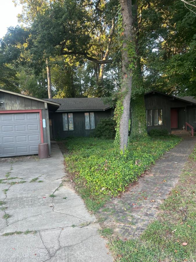 Mini Forest in the City - B&B Guilford