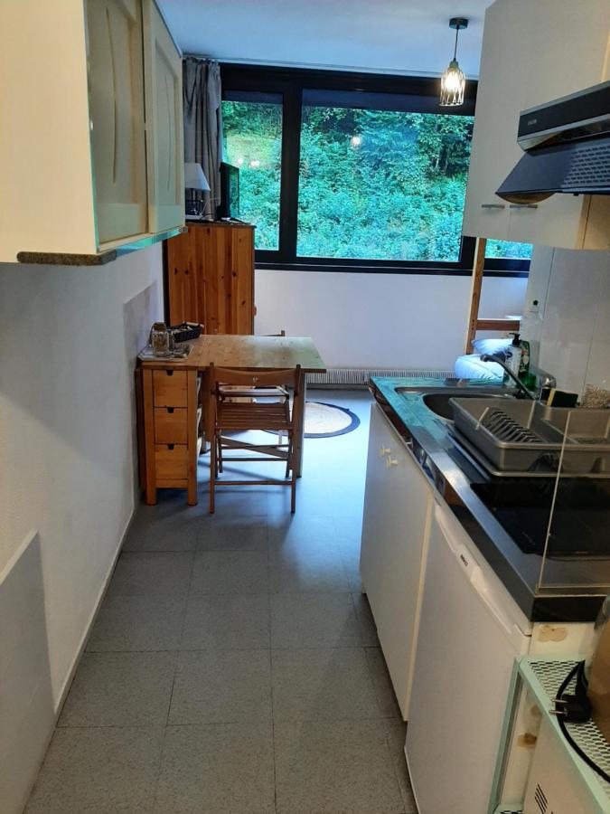 Studio 19 m2 à louer au Mont-Dore - B&B Le Mont-Dore