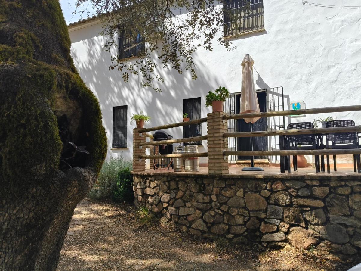Casa rural Alicia - B&B