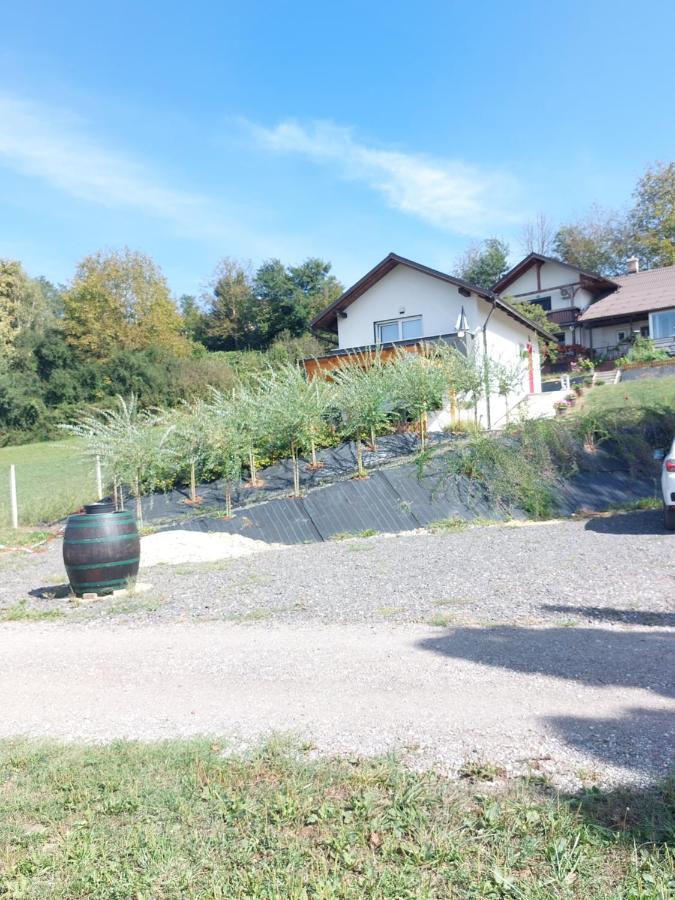 Prenočišče ČERNOŠA Apartma Studio - B&B Sv. Trojica v Slov. Goricah