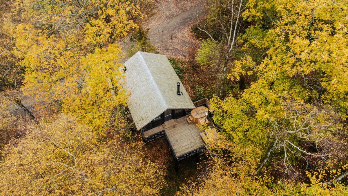 Superior Chalet
