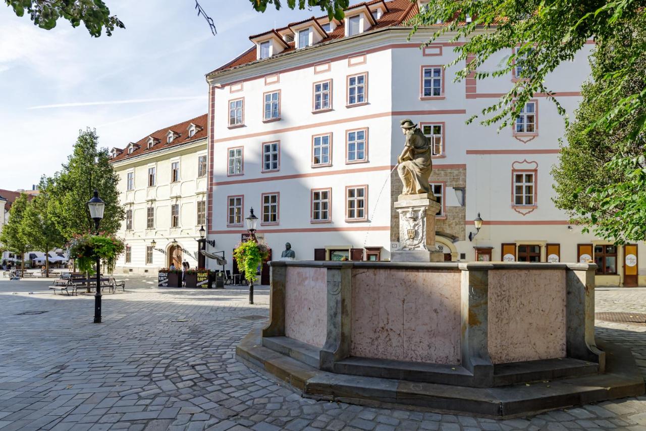Prima - spacious apartment in the main square with large living room - Bed and Breakfast Bratislava