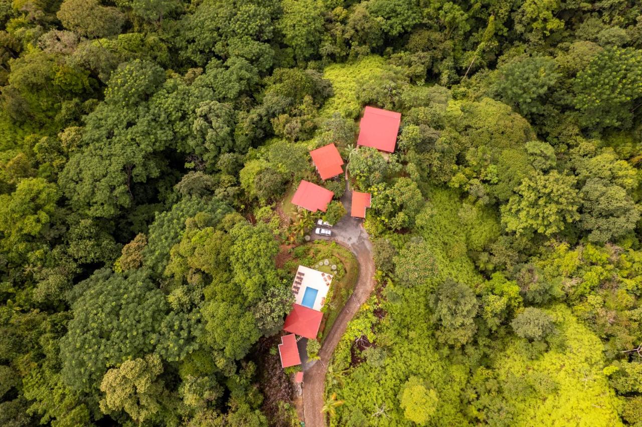 Nature's Edge Boutique Hotel - Bed and Breakfast