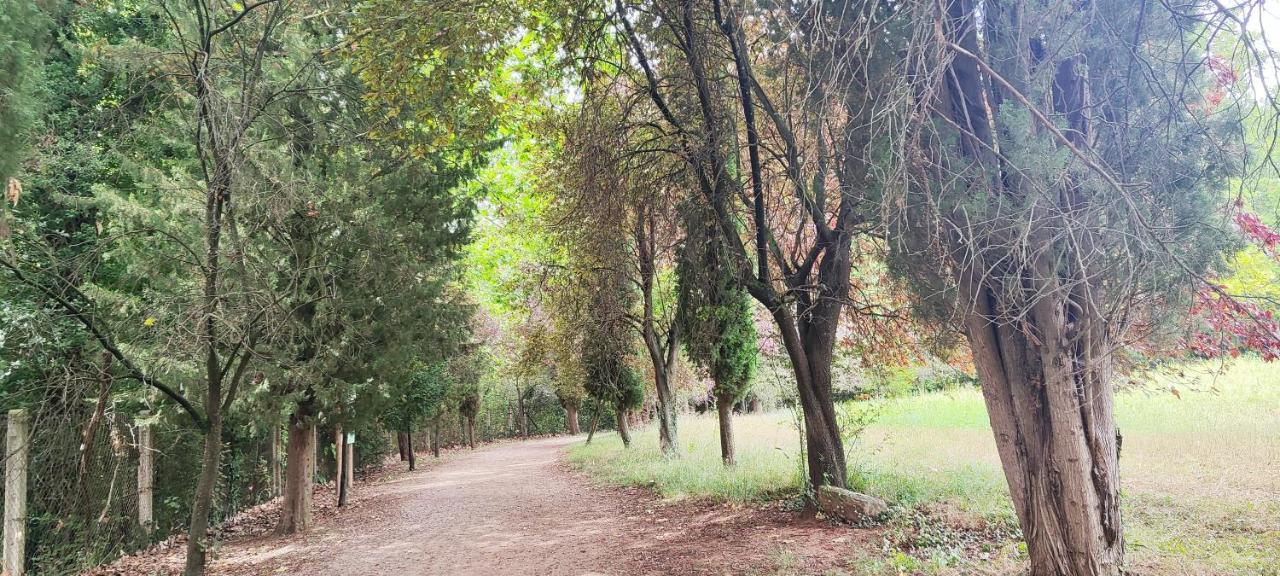 Piso rural Sol Berguedà - Bed and Breakfast