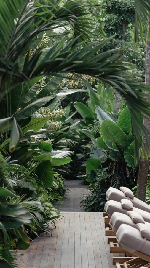 The Akasha Canggu Luxury Villas - B&B