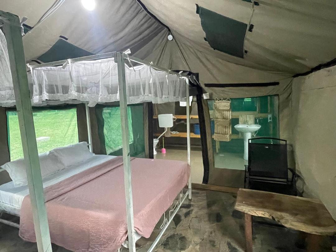 AMENITY TOURs & CAMPING SERENGETI - B&B