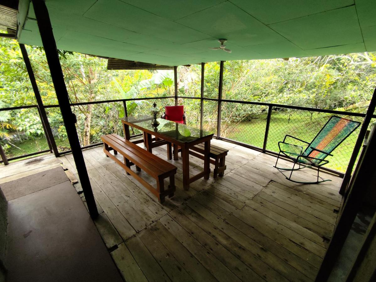 Hospedaje refugio en el Bosque - Bed and Breakfast Sabalito