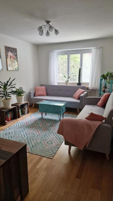 Nice cozy apartment in the heart of Basel - B&B