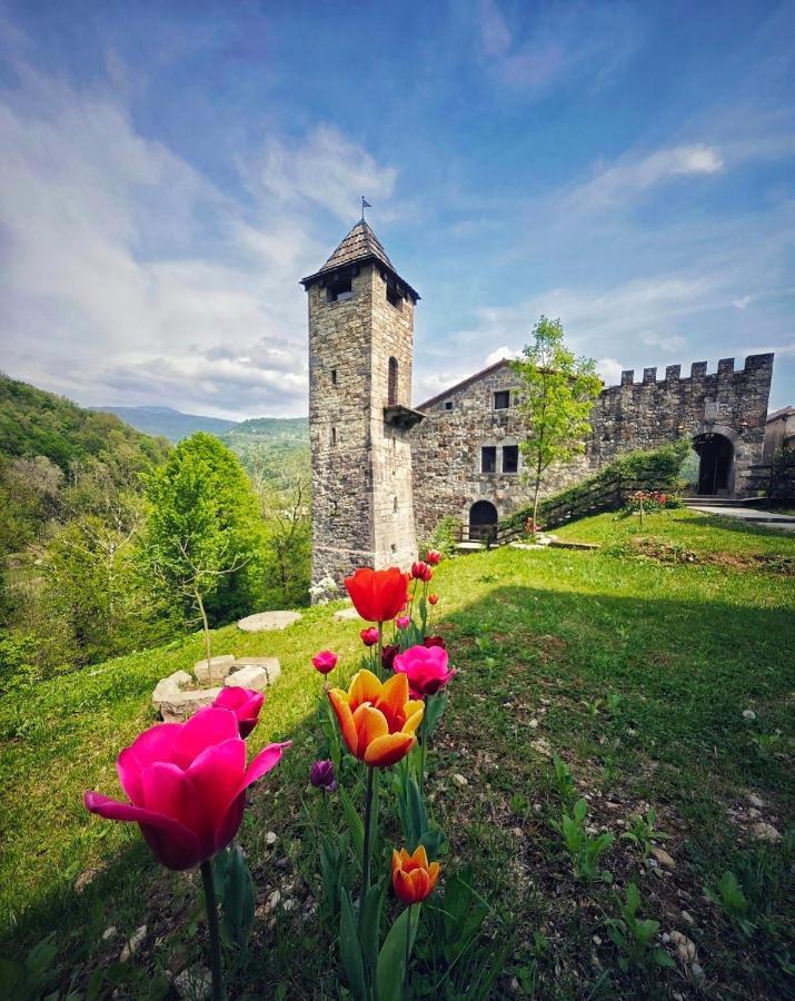 Incantevole rifugio nel castello di Ahrensperg - B&B Pulfero