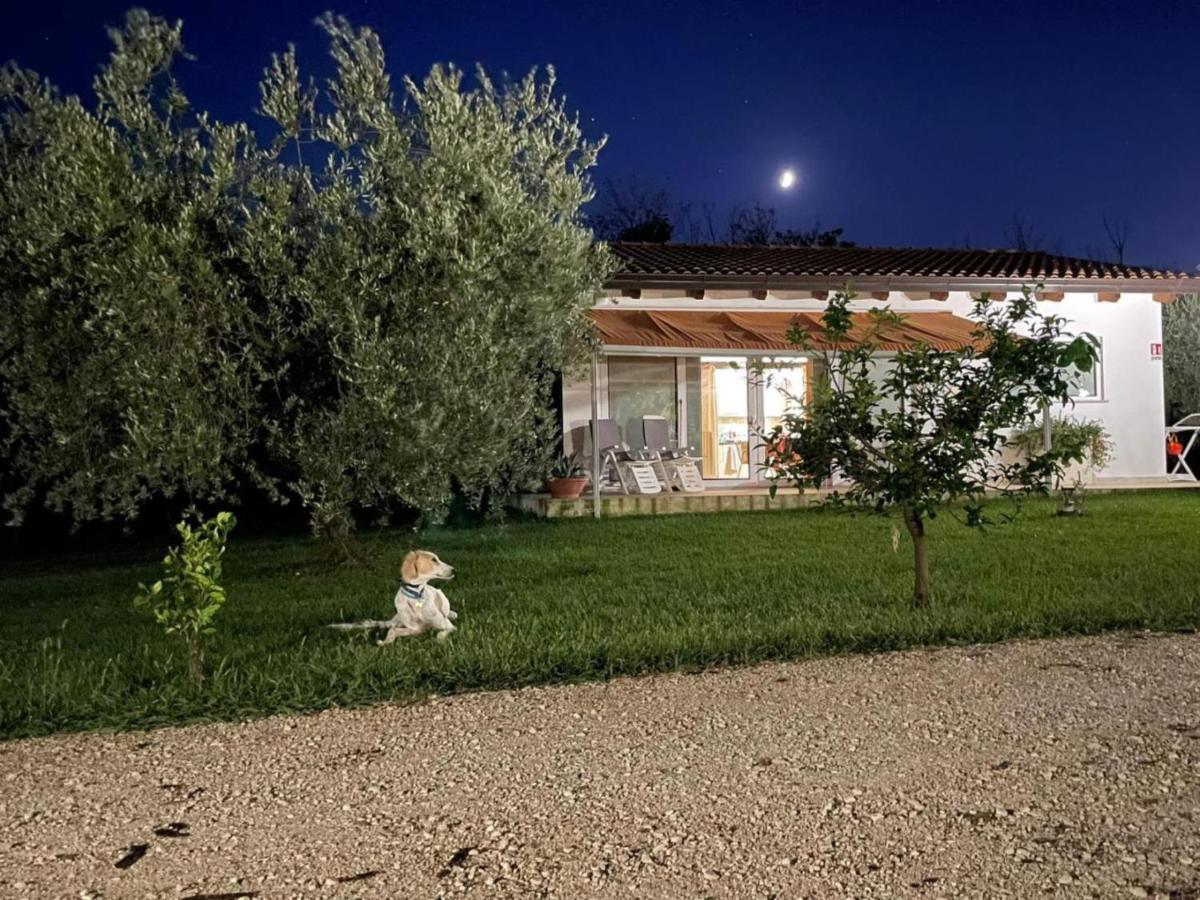 Villetta Bianca Pisticci-Matera - B&B