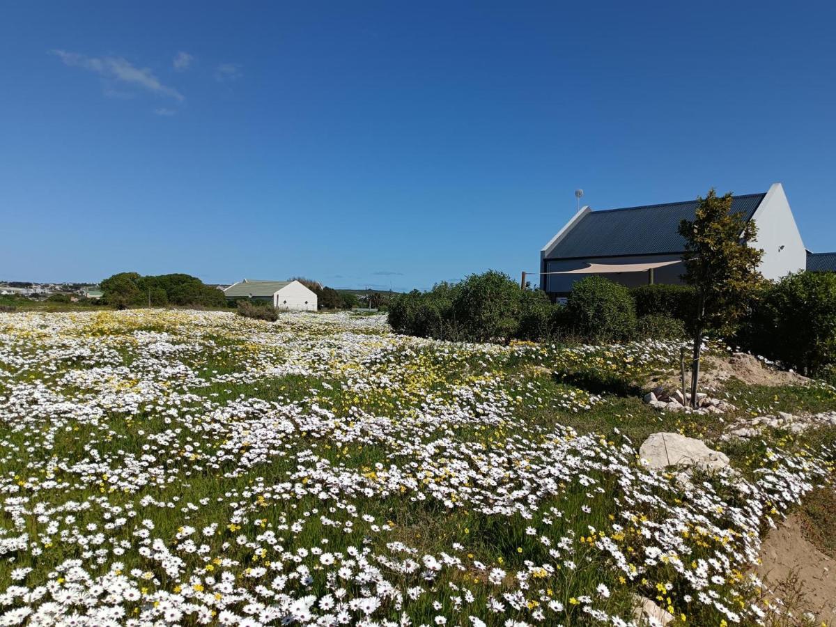 Silver Oaks Airbnb - B&B