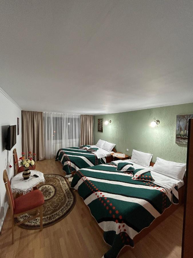 Family Room with Mountain View