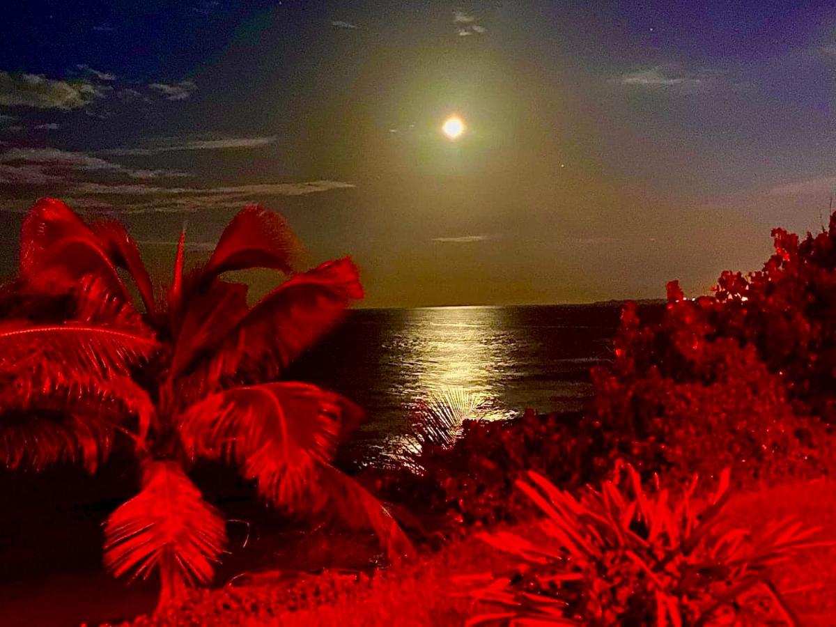 Appartamento con 2 Camere da Letto e Terrazza