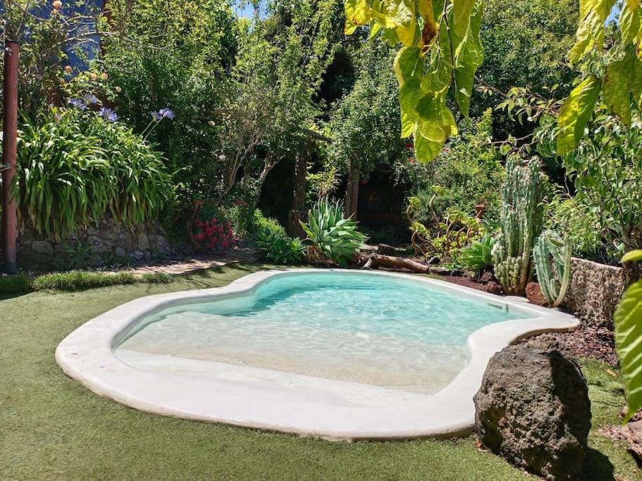 Los Matos, Canarian house in Valleseco - Ferienwohnung