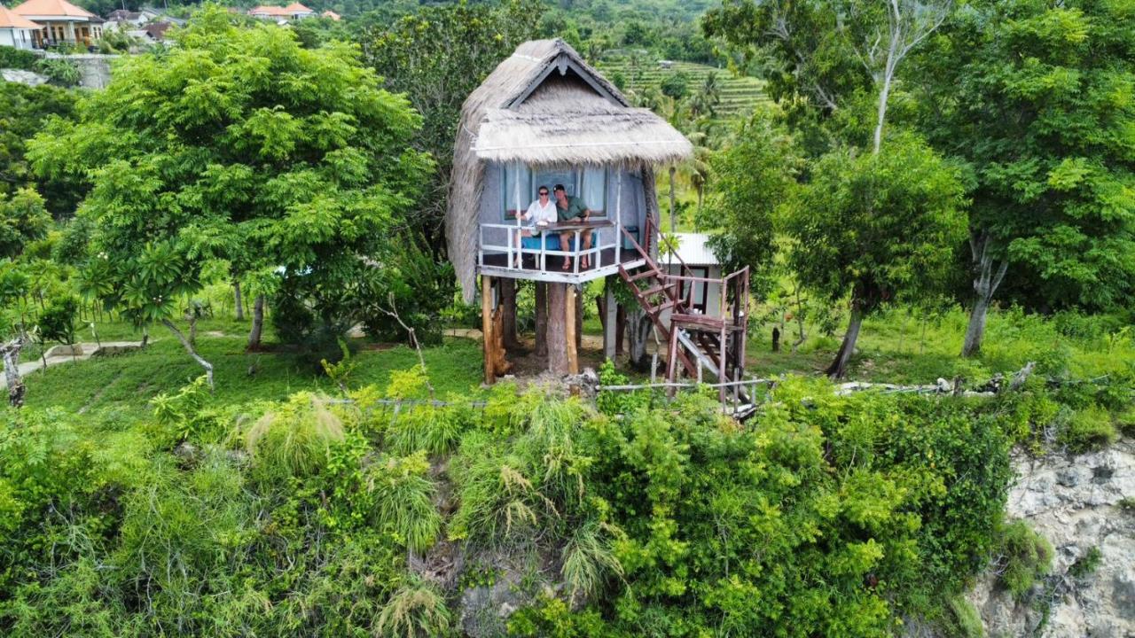 Eco-dream With Ocean View - B&B