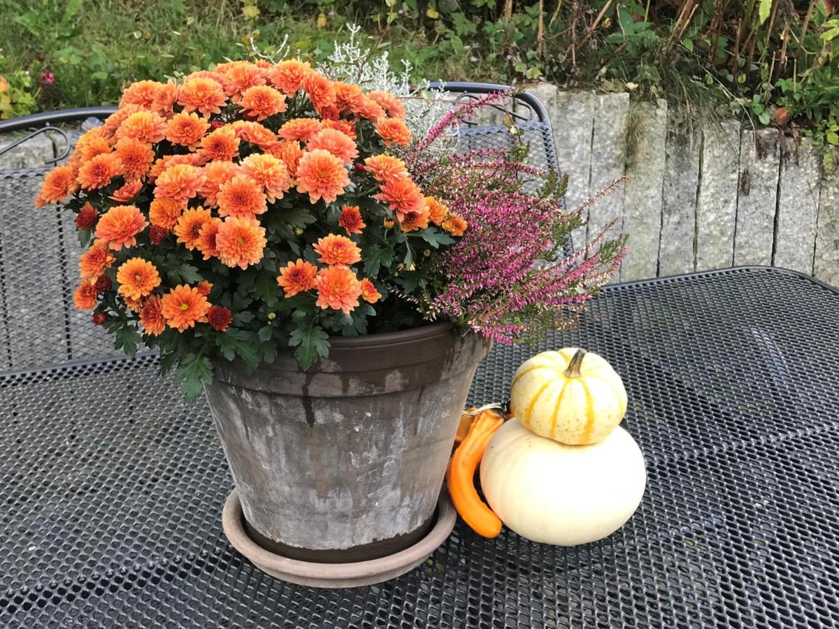 Haus Westfeld - B&B Schmallenberg