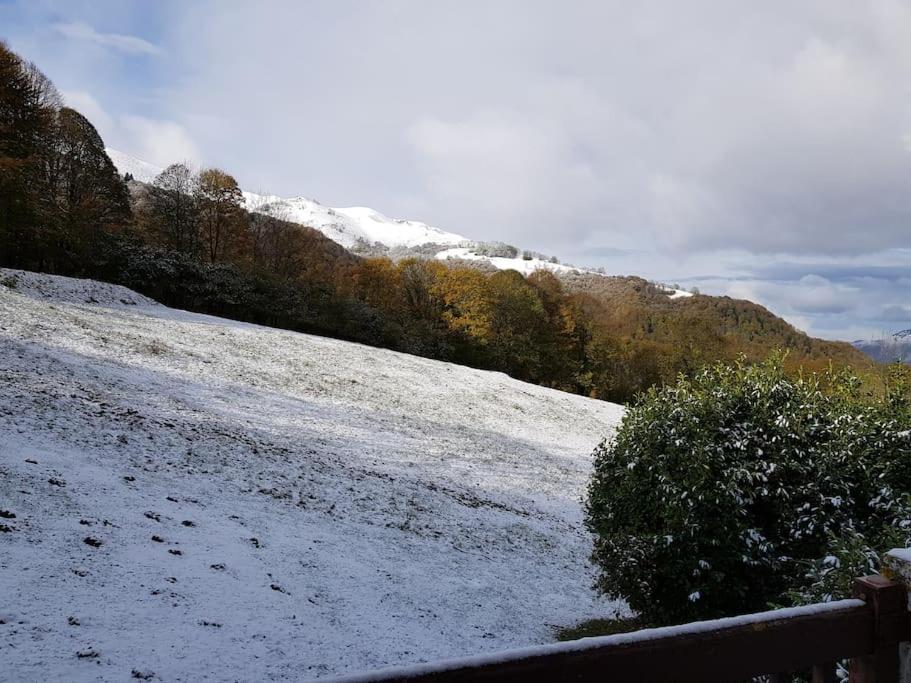 Chalet au cœur de la montagne jacuzzi privé - B&B Sainte-Marie-de-Campan