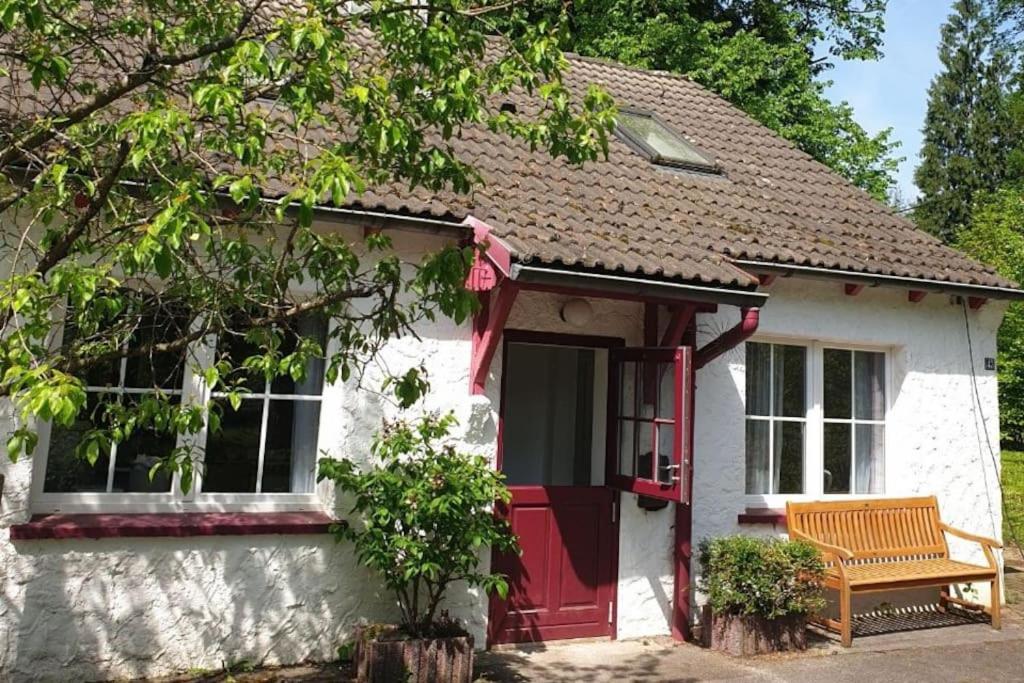 Das purpur Haus für Dich alleine! - B&B Solingen