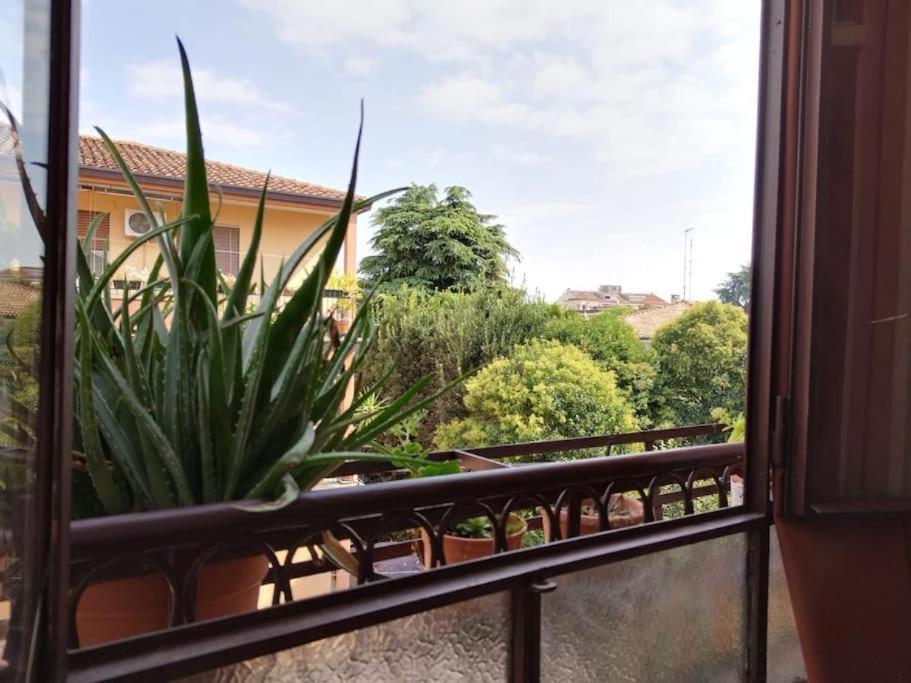 Porta Trento - Bed and Breakfast