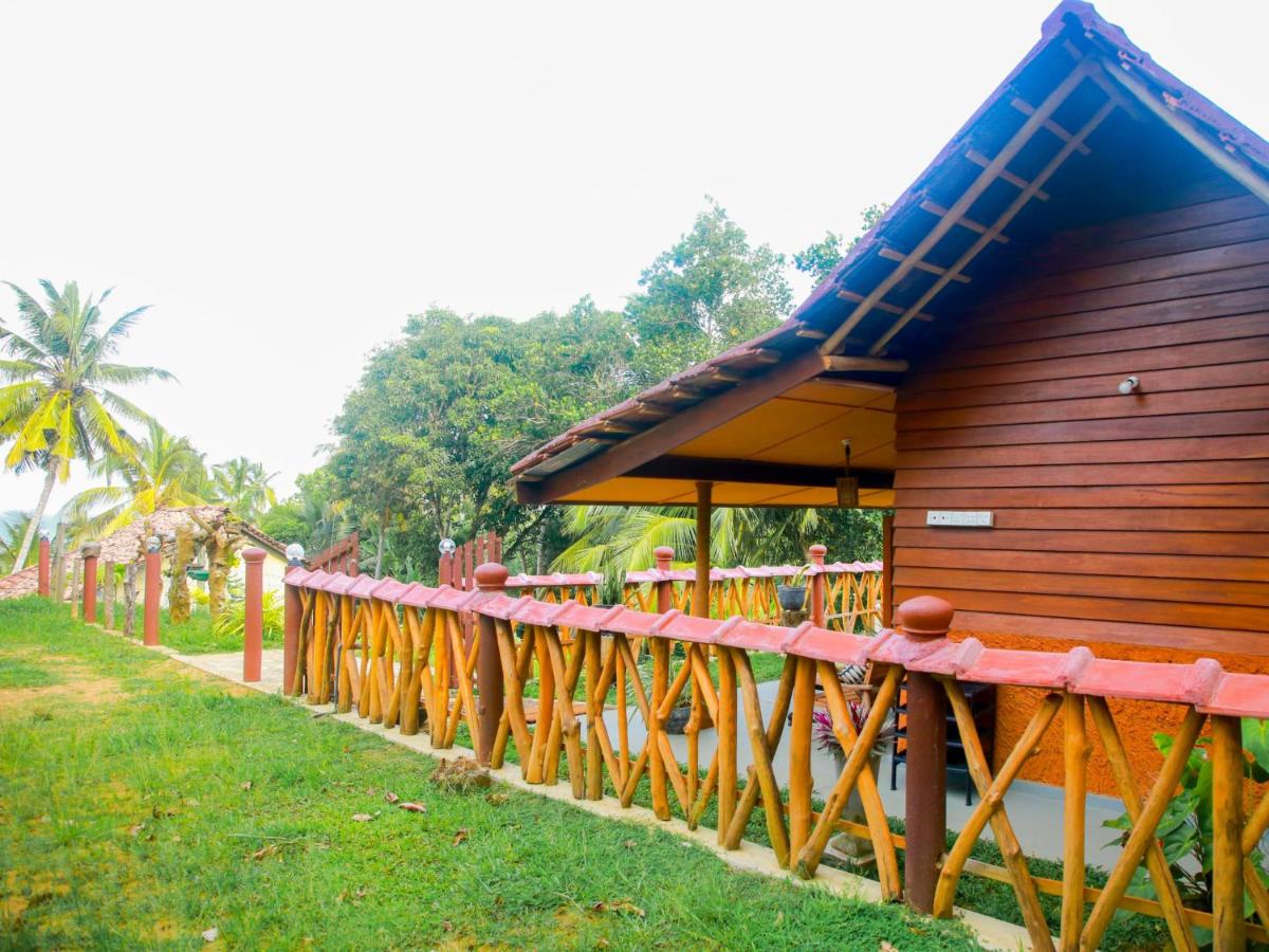 Blue Ocean Tree House Hiriketiya - B&B
