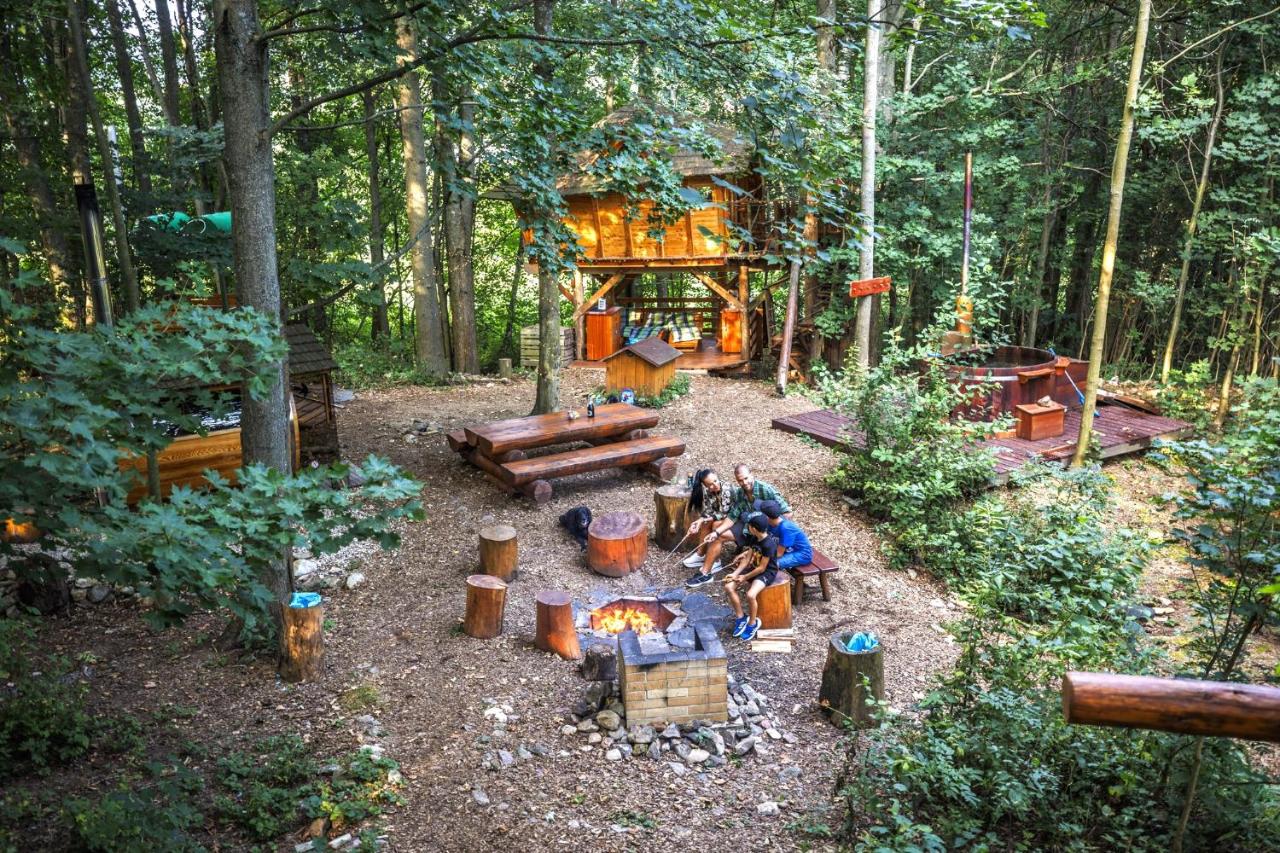 Treehous Sněžník s wellness - B&B
