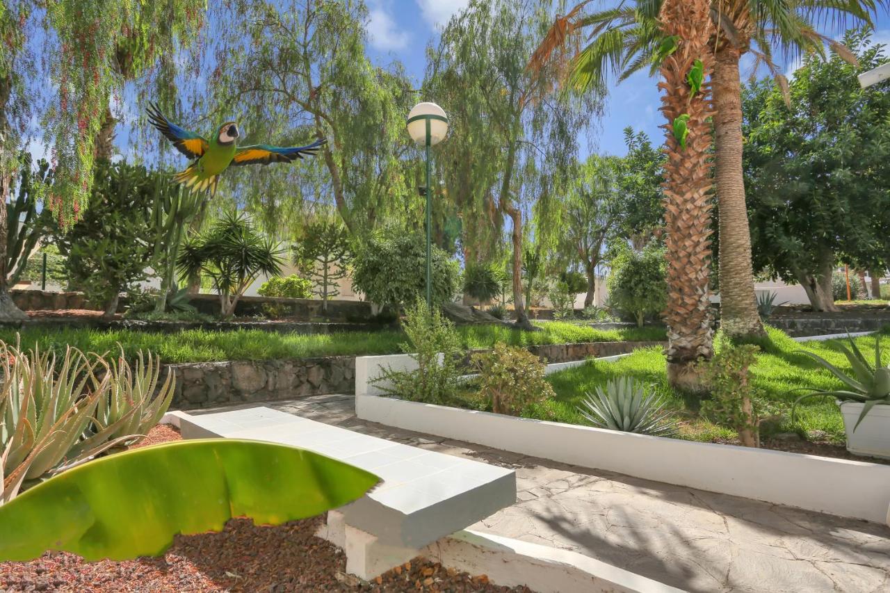 PARROT PARADISE STUDIO, WiFi, Smart Tv, Pool - Ferienwohnung